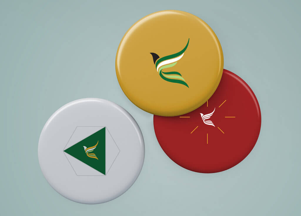 Pakistan German Renewable Energy Badge Logo